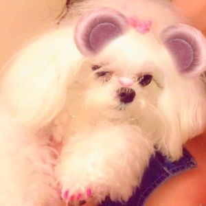 Meet your Posher, Martha